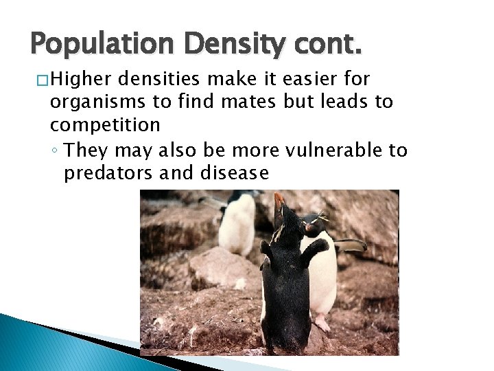 Population Density cont. � Higher densities make it easier for organisms to find mates