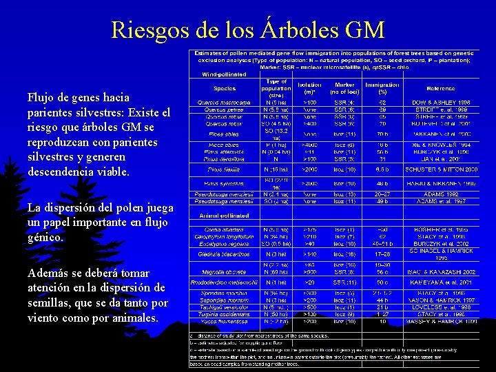 Riesgos de los Árboles GM Flujo de genes hacia parientes silvestres: Existe el riesgo