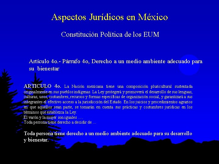 Aspectos Jurídicos en México Constitución Política de los EUM Artículo 4 o. - Párrafo