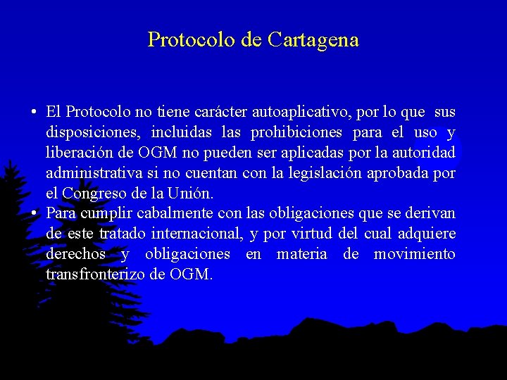 Protocolo de Cartagena • El Protocolo no tiene carácter autoaplicativo, por lo que sus