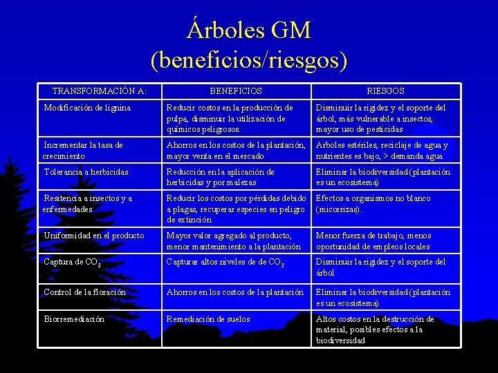 Árboles GM (beneficios/riesgos) TRANSFORMACIÓN A: BENEFICIOS RIESGOS Modificación de lignina Reducir costos en la