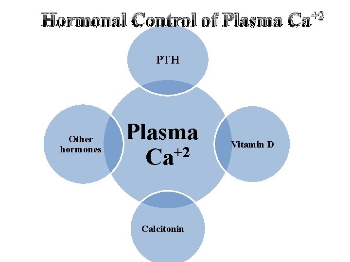 Hormonal Control of Plasma Ca+2 PTH Other hormones Plasma Ca+2 Calcitonin Vitamin D 