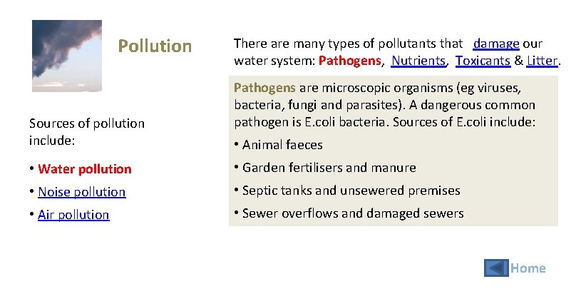 Pollution Sources of pollution include: There are many types of pollutants that damage our