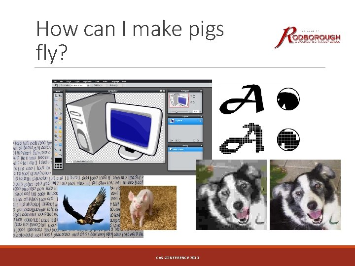 How can I make pigs fly? CAS CONFERENCE 2013 