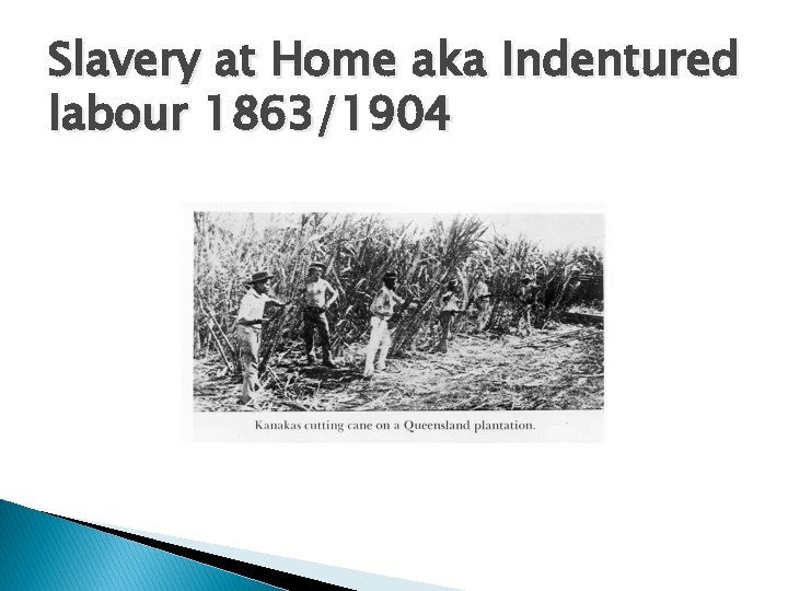 Slavery at Home aka Indentured labour 1863/1904 