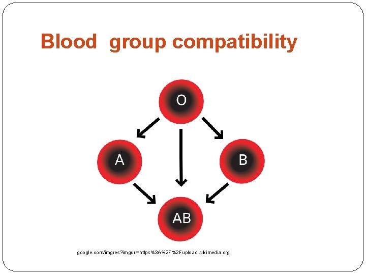 Blood group compatibility google. com/imgres? imgurl=https%3 A%2 F%2 Fupload. wikimedia. org 