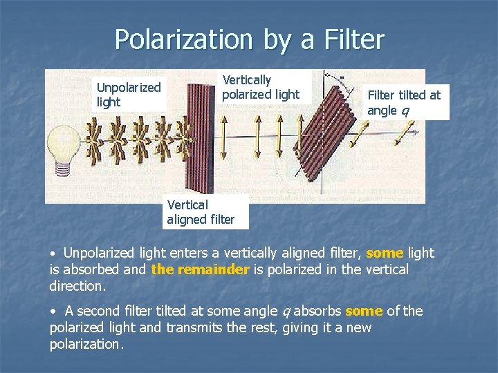 Polarization by a Filter Unpolarized light Vertically polarized light Filter tilted at angle q