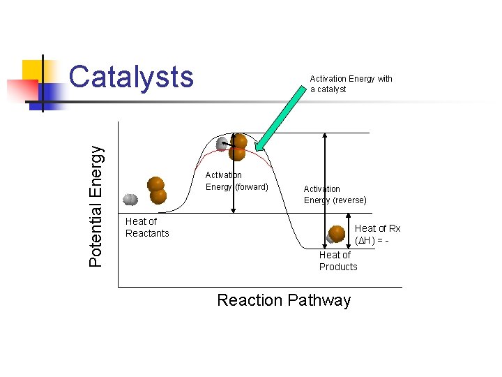 Potential Energy Catalysts Activation Energy with a catalyst Activation Energy (forward) Activation Energy (reverse)