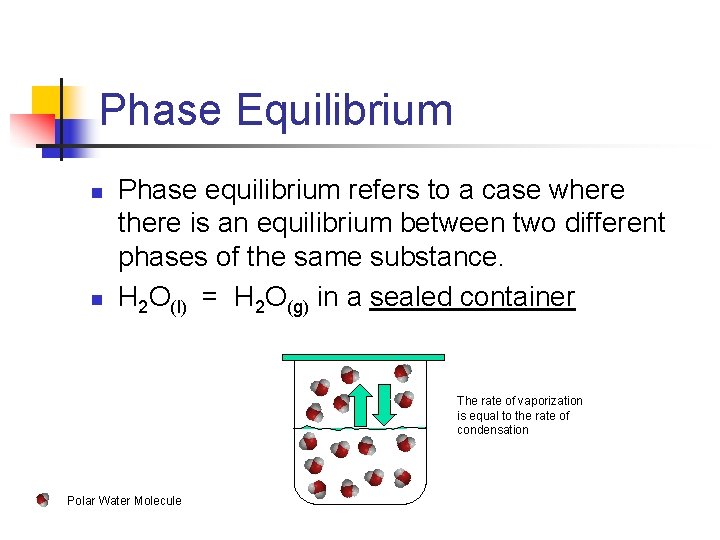 Phase Equilibrium n n Phase equilibrium refers to a case where there is an