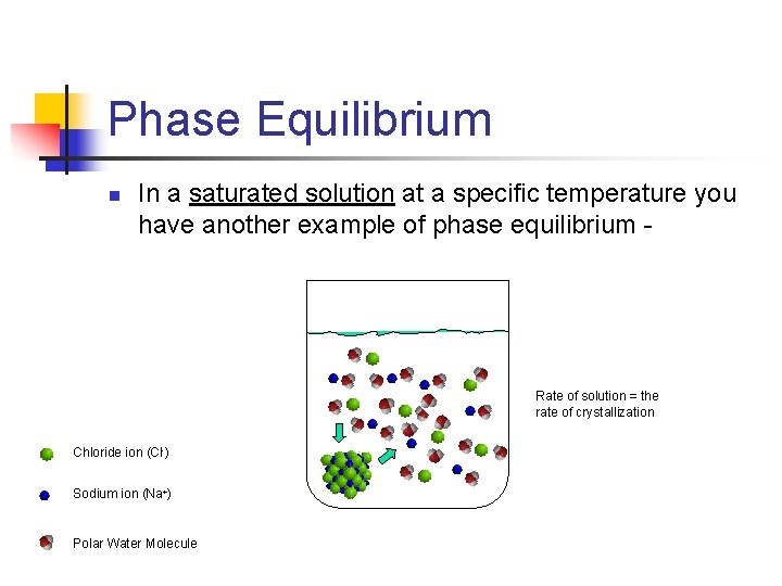 Phase Equilibrium n In a saturated solution at a specific temperature you have another