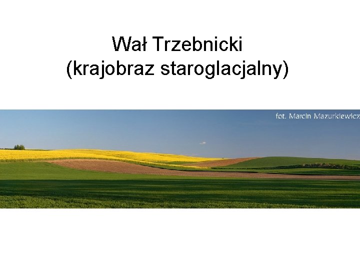 Wał Trzebnicki (krajobraz staroglacjalny) 