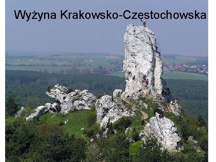 Wyżyna Krakowsko-Częstochowska 