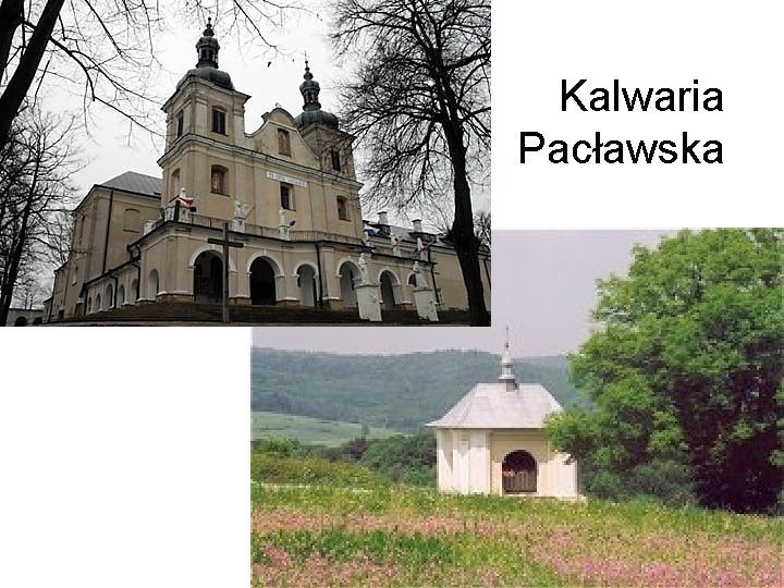 Kalwaria Pacławska 