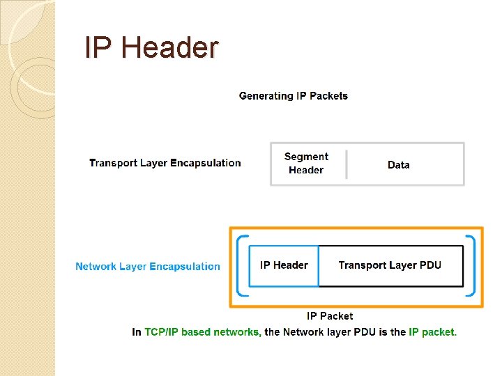 IP Header 