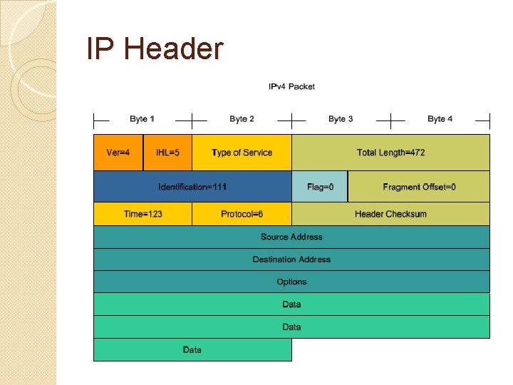 IP Header 