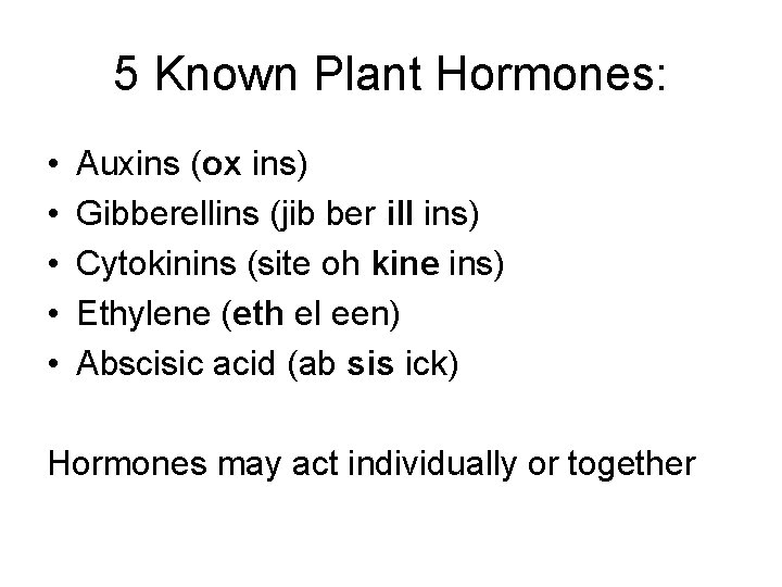 5 Known Plant Hormones: • • • Auxins (ox ins) Gibberellins (jib ber ill