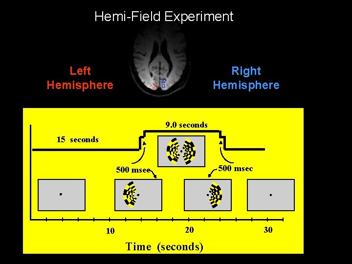 Hemi-Field Experiment Left Hemisphere Right Hemisphere 9. 0 seconds 15 seconds 500 msec 10