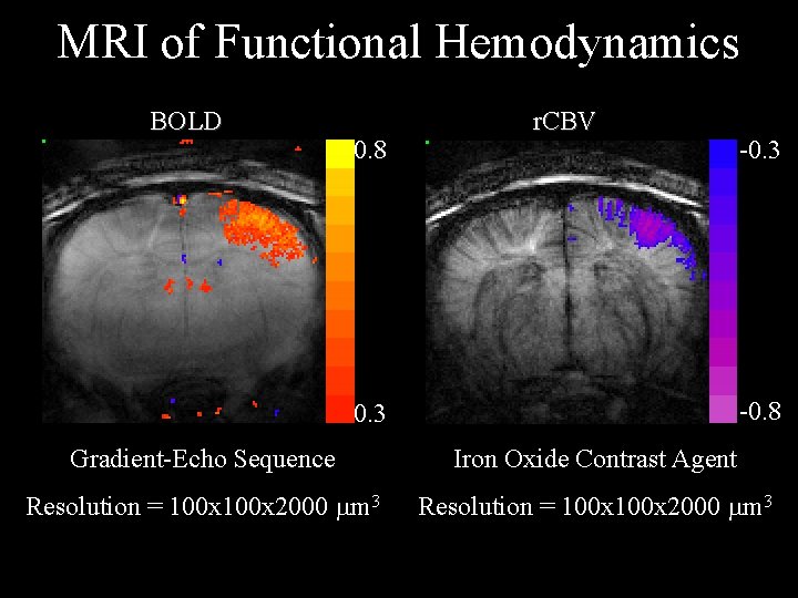 MRI of Functional Hemodynamics BOLD 0. 8 r. CBV -0. 3 -0. 8 0.