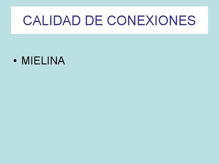CALIDAD DE CONEXIONES • MIELINA 