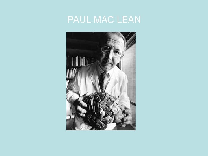 PAUL MAC LEAN 
