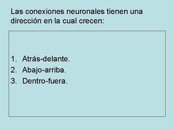 Las conexiones neuronales tienen una dirección en la cual crecen: 1. Atrás-delante. 2. Abajo-arriba.