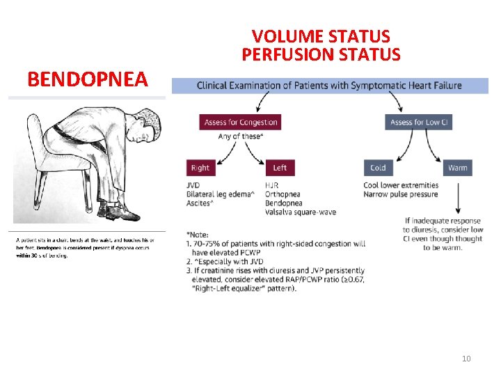 BENDOPNEA VOLUME STATUS PERFUSION STATUS 10 