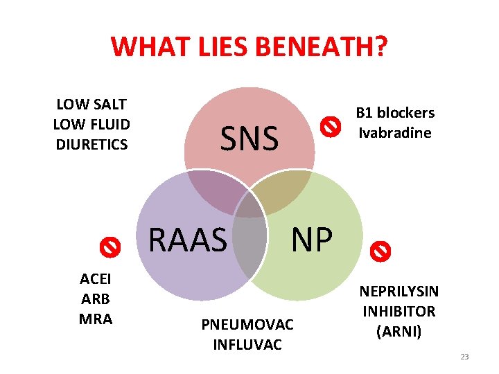 WHAT LIES BENEATH? LOW SALT LOW FLUID DIURETICS SNS RAAS ACEI ARB MRA B