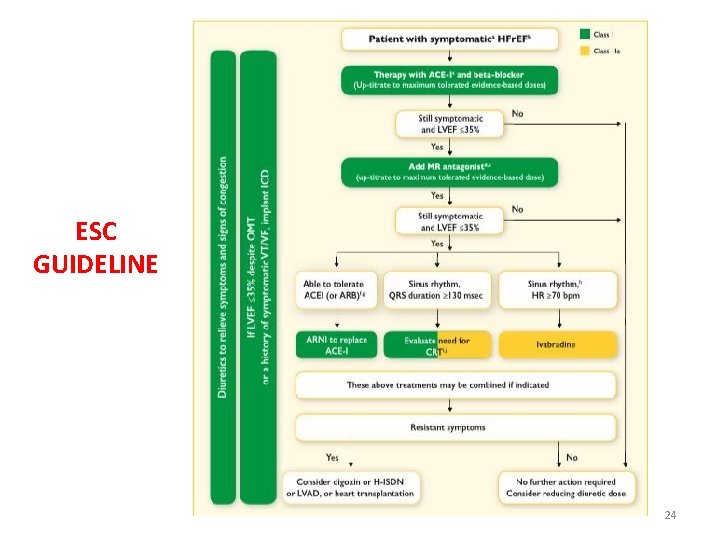 ESC GUIDELINE 24 