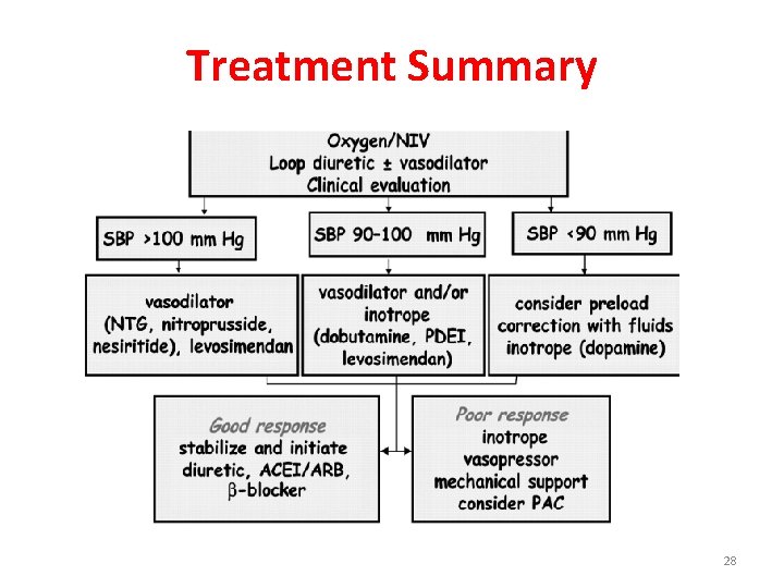 Treatment Summary 28 