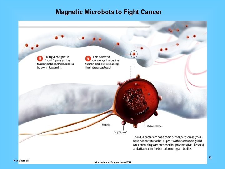 Magnetic Microbots to Fight Cancer Ken Youssefi 9 Introduction to Engineering – E 10