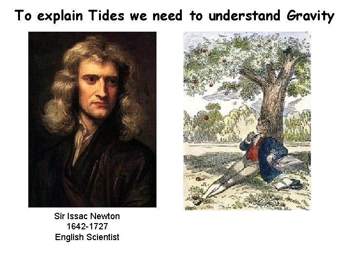 To explain Tides we need to understand Gravity Sir Issac Newton 1642 -1727 English