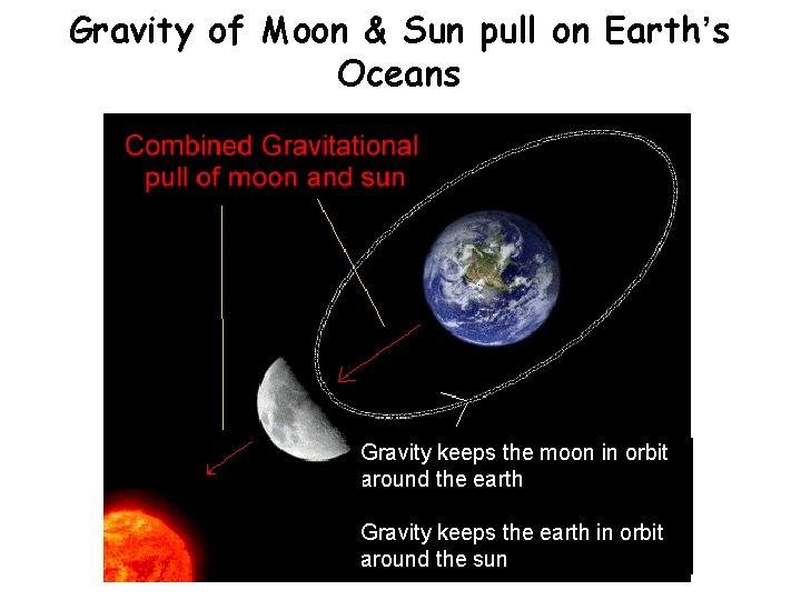 Gravity of Moon & Sun pull on Earth’s Oceans Gravity keeps the moon in