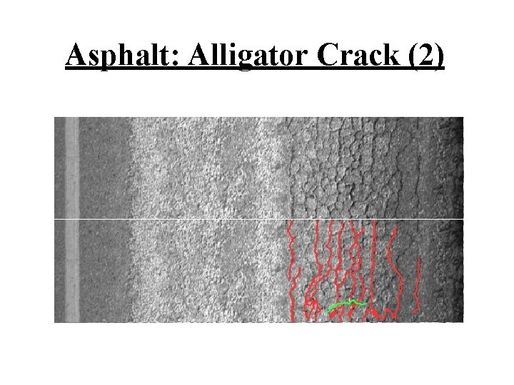 Asphalt: Alligator Crack (2) 