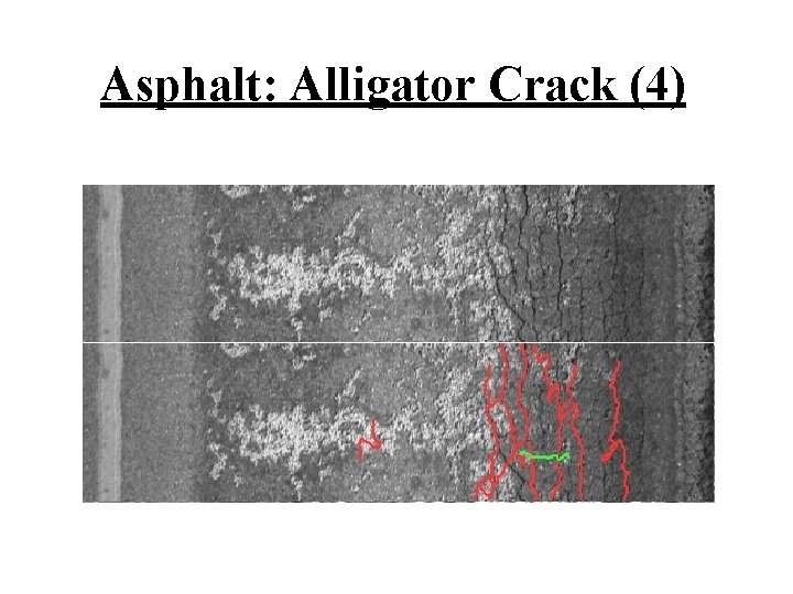 Asphalt: Alligator Crack (4) 