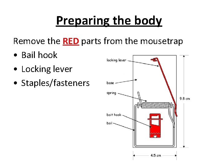 Preparing the body Remove the RED parts from the mousetrap • Bail hook •