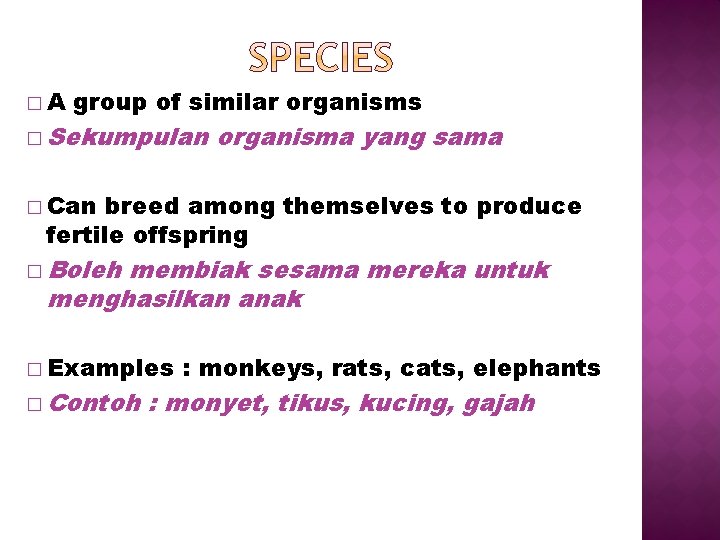 �A group of similar organisms � Sekumpulan organisma yang sama � Can breed among