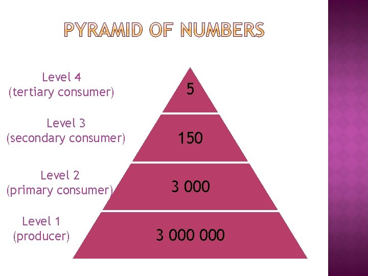 Level 4 (tertiary consumer) Level 3 (secondary consumer) Level 2 (primary consumer) Level 1