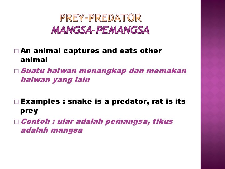 MANGSA-PEMANGSA � An animal captures and eats other animal � Suatu haiwan menangkap dan