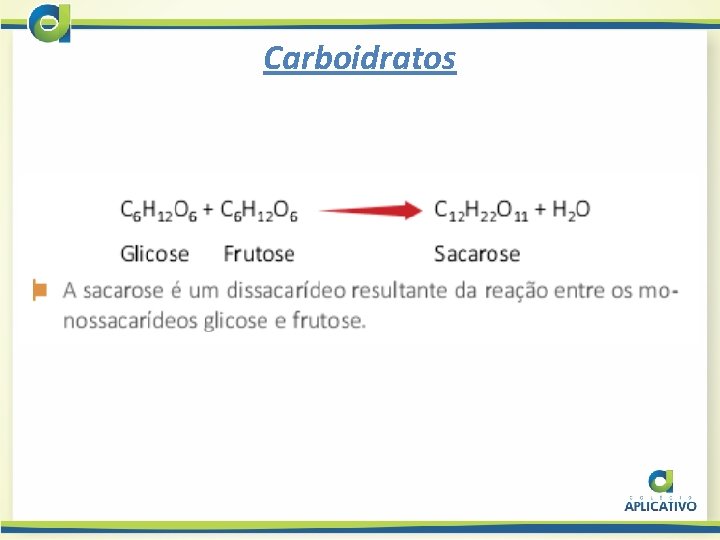 Carboidratos 