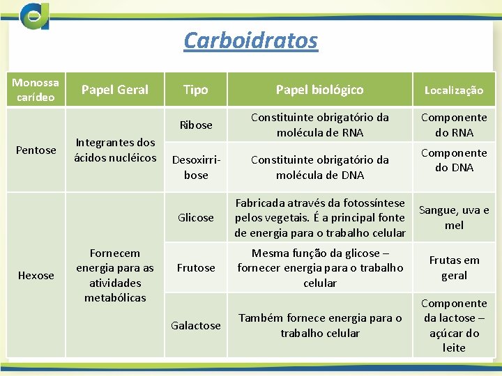 Carboidratos Monossa carídeo Pentose Hexose Papel Geral Integrantes dos ácidos nucléicos Fornecem energia para