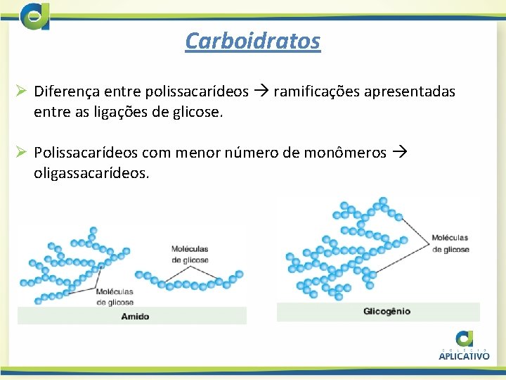 Carboidratos Ø Diferença entre polissacarídeos ramificações apresentadas entre as ligações de glicose. Ø Polissacarídeos