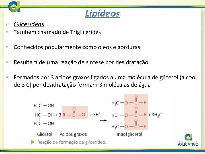 Lipídeos o Glicerídeos • Também chamado de Triglicérides. • Conhecidos popularmente como óleos e