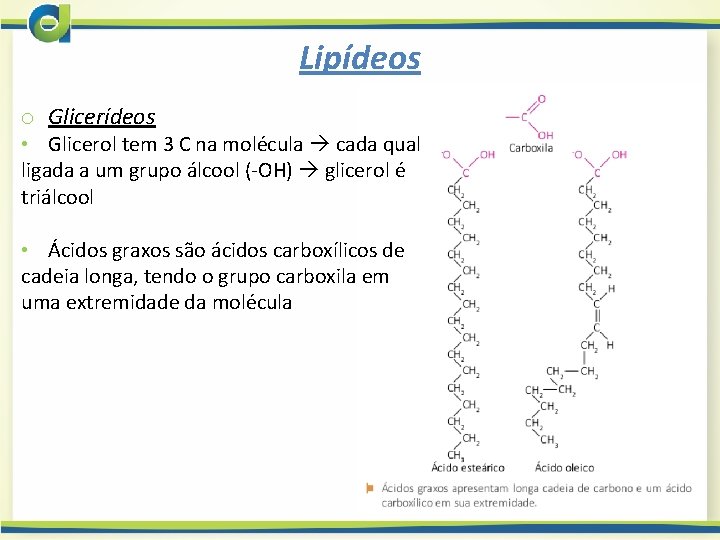 Lipídeos o Glicerídeos • Glicerol tem 3 C na molécula cada qual ligada a