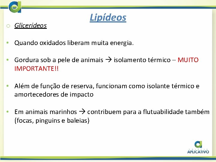 o Glicerídeos Lipídeos • Quando oxidados liberam muita energia. • Gordura sob a pele