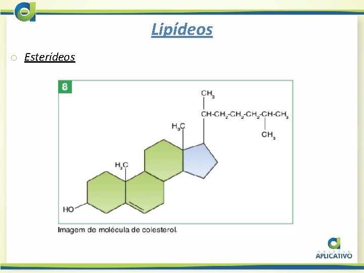 Lipídeos o Esterídeos 