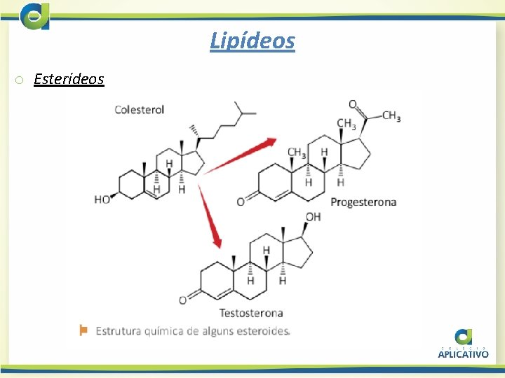 Lipídeos o Esterídeos 