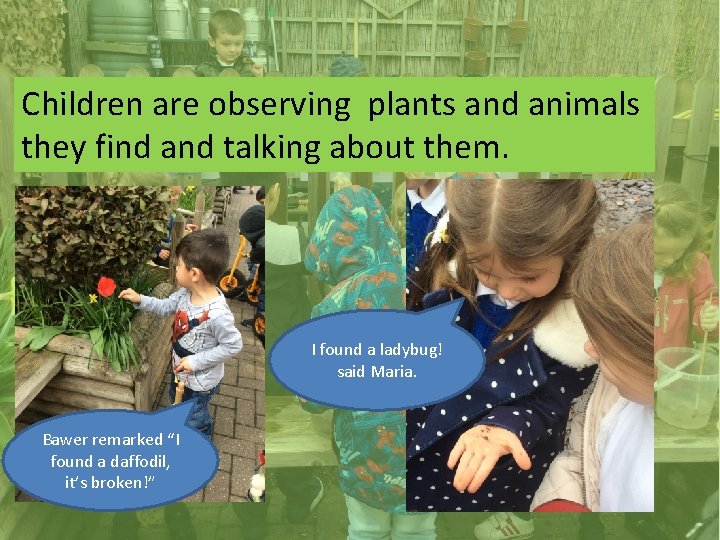 Children are observing plants and animals they find and talking about them. I found