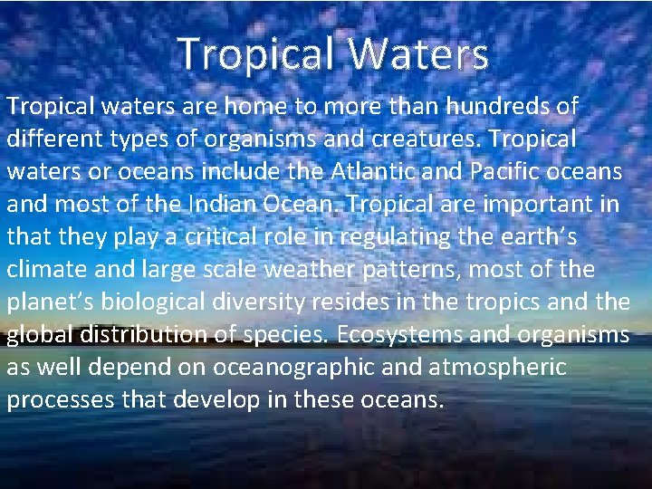 Tropical Waters Tropical waters are home to more than hundreds of different types of