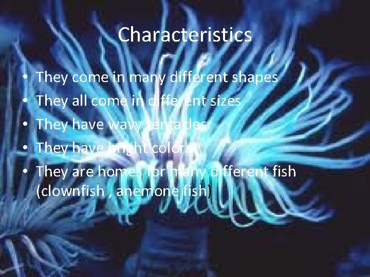 Characteristics • • • They come in many different shapes They all come in