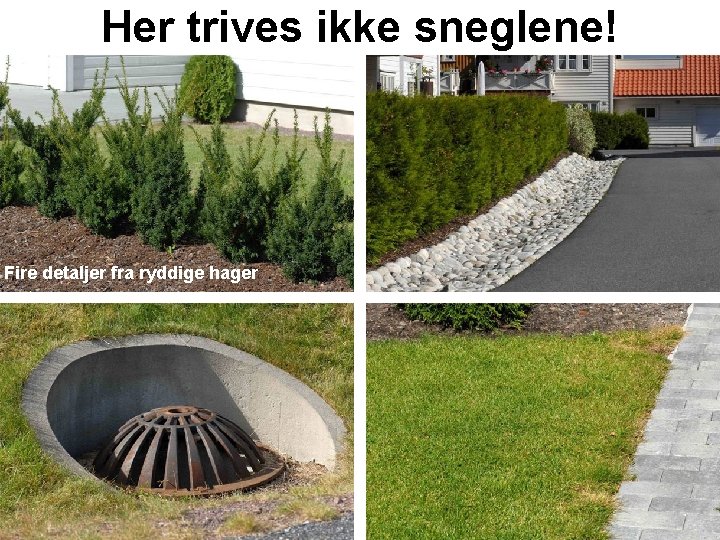 Her trives ikke sneglene! Fire detaljer fra ryddige hager 